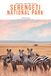 SERENGETI NATIONAL PARK TRAVEL GUIDE 2026