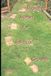 Stepping Stones Stepping Stones for Spiritual Growth