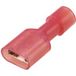 TRU COMPONENTS TC-11599308 Platte stekker (female) Insteekbreedte: 6.3 mm Insteekdikte: 0.8 mm 180 ° Volledig geïsoleerd Rood 1 stuk(s)
