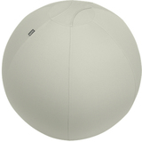 Leitz Ergo Actieve Zitbal - Grijs - 65cm - Bolvormig