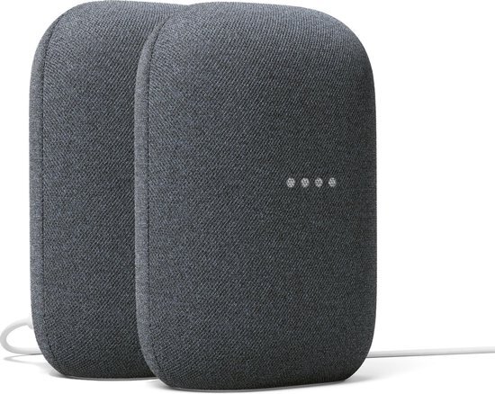 Google Audio 2-pack - Charcoal houtskool