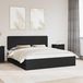Maison Exclusive - Cadre de lit avec tiroirs Noir 200 x 200 cm Bois d'ingénierie