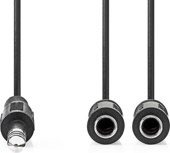 Nedis Stereo-Audiokabel - 6,35 mm Male - 2x 6,35 mm Female - Vernikkeld - 0.20 m