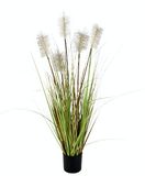 Pampasgras in pot, verengras, oevergras, zijden bloemen, grasbosch, decoratief gras, kunstplanten, kunstplanten, solitair gras, siergras, decoratieve plant, pampasgras, kunstgras
