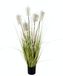 Pampasgras in pot, verengras, oevergras, zijden bloemen, grasbosch, decoratief gras, kunstplanten, kunstplanten, solitair gras, siergras, decoratieve plant, pampasgras, kunstgras
