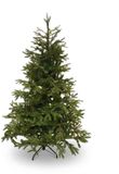 Black Box Trees Frasier Kerstboom
