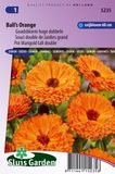 Sluis Garden Goudsbloem Ball's Orange