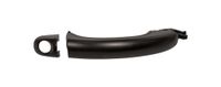 PRASCO Türgriff VG8158004 vorne links | Compatibel met: VW TOUAREG