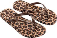 Ipanema Animal Print Dames Slippers - Beige