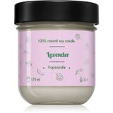 Tropicandle Lavender
