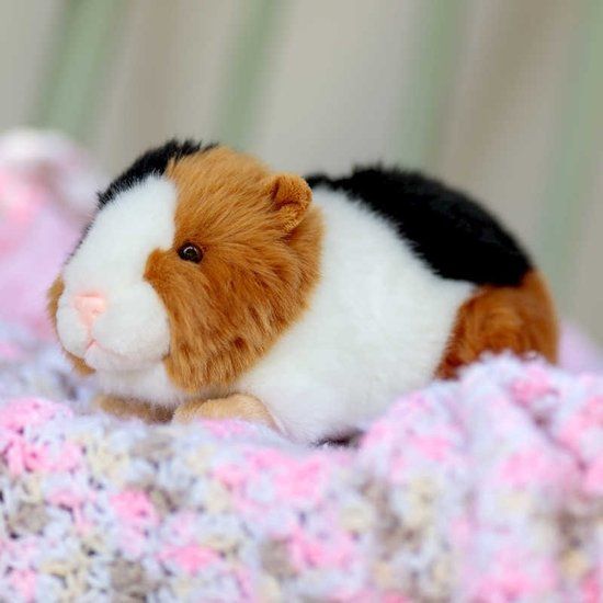 Animigos Pluche Cavia Knuffel - Realistisch Design - 21 cm - 5038728142059