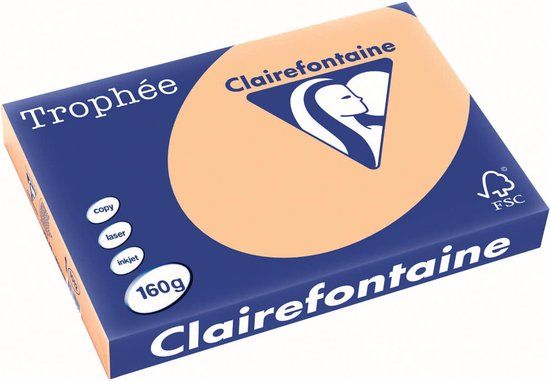Clairefontaine Trophée Pastel Gekleurd Papier A3 - Abrikoos - 160g - 250 Vel