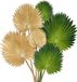 Ibenzoa® Feuilles de palmier tropicales exotiques Set pour décoration intérieure, extérieure et de fête - 6 pièces, tiges flexibles, vert et or