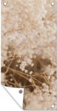 Poster de jardin - Pampasgras - Rose - 40x80 cm - Poster d'extérieur