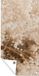 Poster de jardin - Pampasgras - Rose - 40x80 cm - Poster d'extérieur