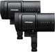 Profoto B30 Duo Kit