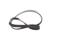 Dayco 5PK880 Riem