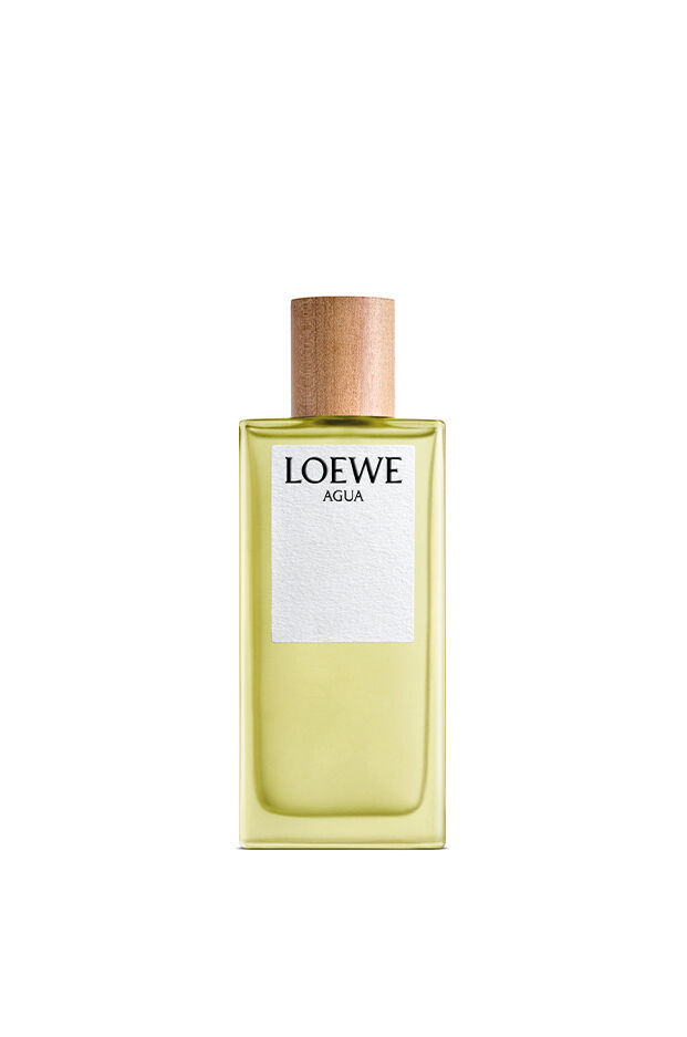 Loewe Agua De Eau de toilette 100 ml eau de toilette / 100 ml / dames