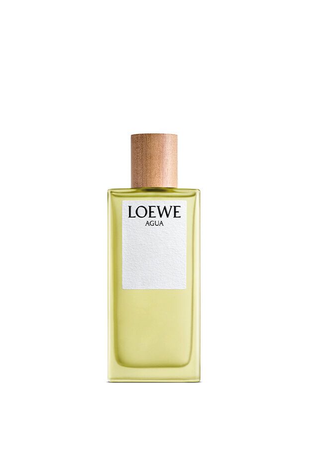 Loewe Eau de toilette / 100 ml / Unisex