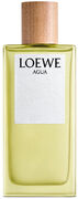 Loewe Agua De Eau de toilette 100 ml eau de toilette / 100 ml / dames