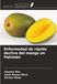 Enfermedad Icecat Enfermedad de rápido declive del mango en Pakistán