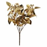 rituali domestici Korte tak eucalyptus