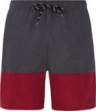 Protest Prtfreddie Zwemshort Heren