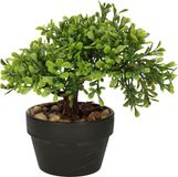 H&S Collection Kunstplant Bonsai boompje in pot - Type Olive