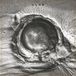 PIAS Nederland LLNN - Deads (CD)
