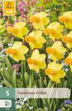 Jub Narcissus Fidan bloembol JUB 5 stuks