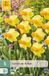 Jub Narcissus Fidan bloembol JUB 5 stuks