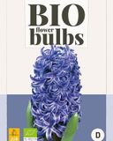 Jub Hyacinthus blue pearl - bio JUB, 3 bollen