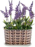 Arte r Plantenpot/bloempot teil - Zink - Bruin - L22,5 x D11,5 x H12 cm