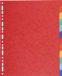 Exacompta 25x Tabbladen gerecycleerd karton 220g - 12 tabs - A4 maxi - Geassorteerd - 2112E