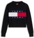 Tommy Hilfiger Tommy Jeans Gebreide Trui Katoen L Herfst/Winter 2026