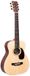 Martin & Co 11LX1RE travel gitaar (Little Martin)