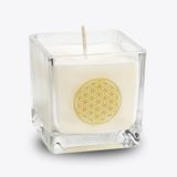 Zenful Refreshing Geurkaars koolzaadwas 88g 6cm