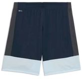 PUMA Individualliga Training Shorts Heren Blauw L