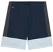 PUMA Individualliga Training Shorts Heren Blauw L