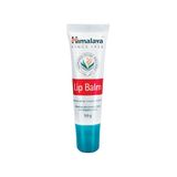 Himalaya Lip Balm met Wheatgerm Oil & Carrot Seed Oil Repair Dry and Chapped Lips, verbetert de lipkleur, bevat essentiële voeding van vitamine E geeft langdurige hydratatie - 4,5 g