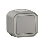 Legrand 0 700 00 IP55 IK08 250V 10A Grey Plastic Wall Mount Electrical Switch
