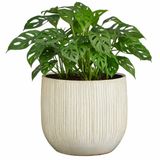 Mica Decorations Pot de fleurs - céramique - blanc brillant / nervures - D29 x H25 cm - pot de fleurs Pablo