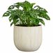 Mica Decorations Pot de fleurs - céramique - blanc brillant / nervures - D29 x H25 cm - pot de fleurs Pablo