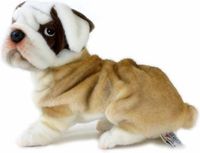 Anima Hansa Knuffel Bulldog Hond - 30 cm - Pluche