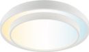 Brilliant Faruz - Plafondlamp - Ø 39 cm - LED 10W - CCT - 3000K-6500K - Dimbaar - Nachtlicht - Timer - Afstandsbediening - Wit