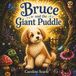 Bruce and the Giant Puddle