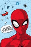 Spider-Man Fleece plaid Job 100 x 150 cm