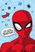 Spider-Man Fleece plaid Job 100 x 150 cm