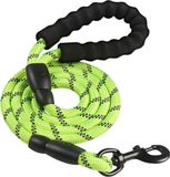 Intirilife Reflecterende Nylon Hondenriem Dierenriem in Groen met 1.5 meter lengte voor het uitlaten van uw huisdier