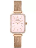 Daniel Wellington - DW00100669 - Polshorloge - Dames - Kwarts - QUADRO